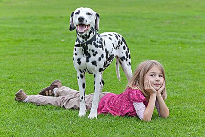 广西土猎田园犬幼犬出售 为什么土猎犬是广西的？